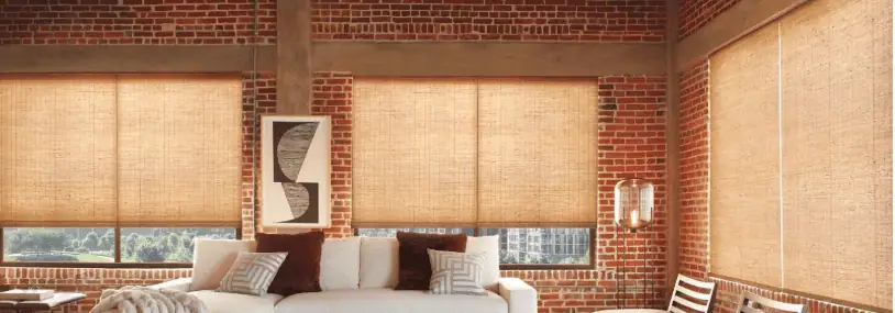 Sun shades window fashions with sheer vertical blinds for modern home decor.